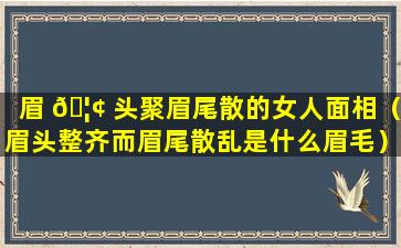 眉 🦢 头聚眉尾散的女人面相（眉头整齐而眉尾散乱是什么眉毛）